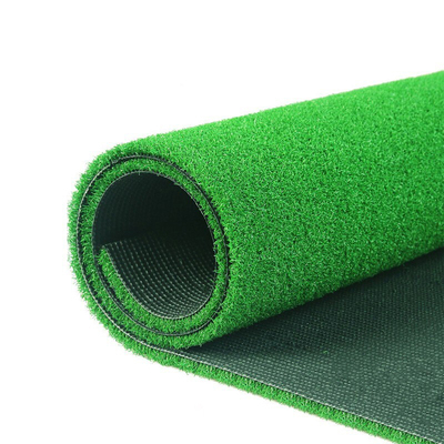 Putting green grass